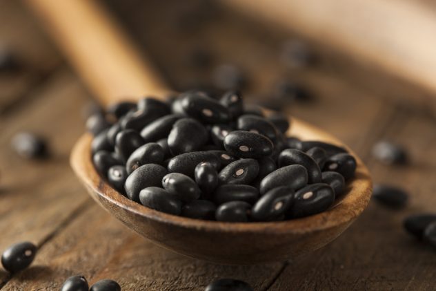 Organic Raw Dry Black Beans