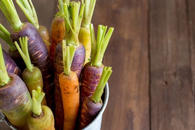 organic carrot vegetables