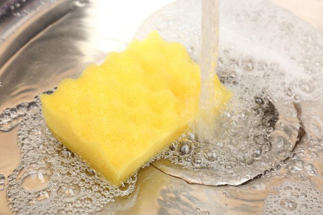 clean wash kitchen sponge
